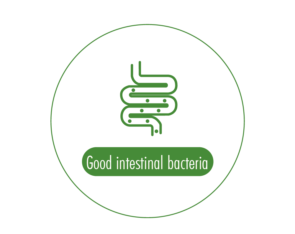 浤景-網頁產品介紹icon -英_工作區域 1 複本.png