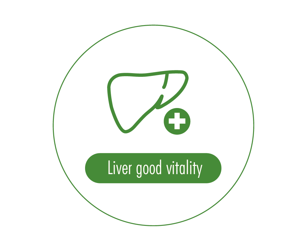 浤景-網頁產品介紹icon -英_工作區域 1 複本 4.png